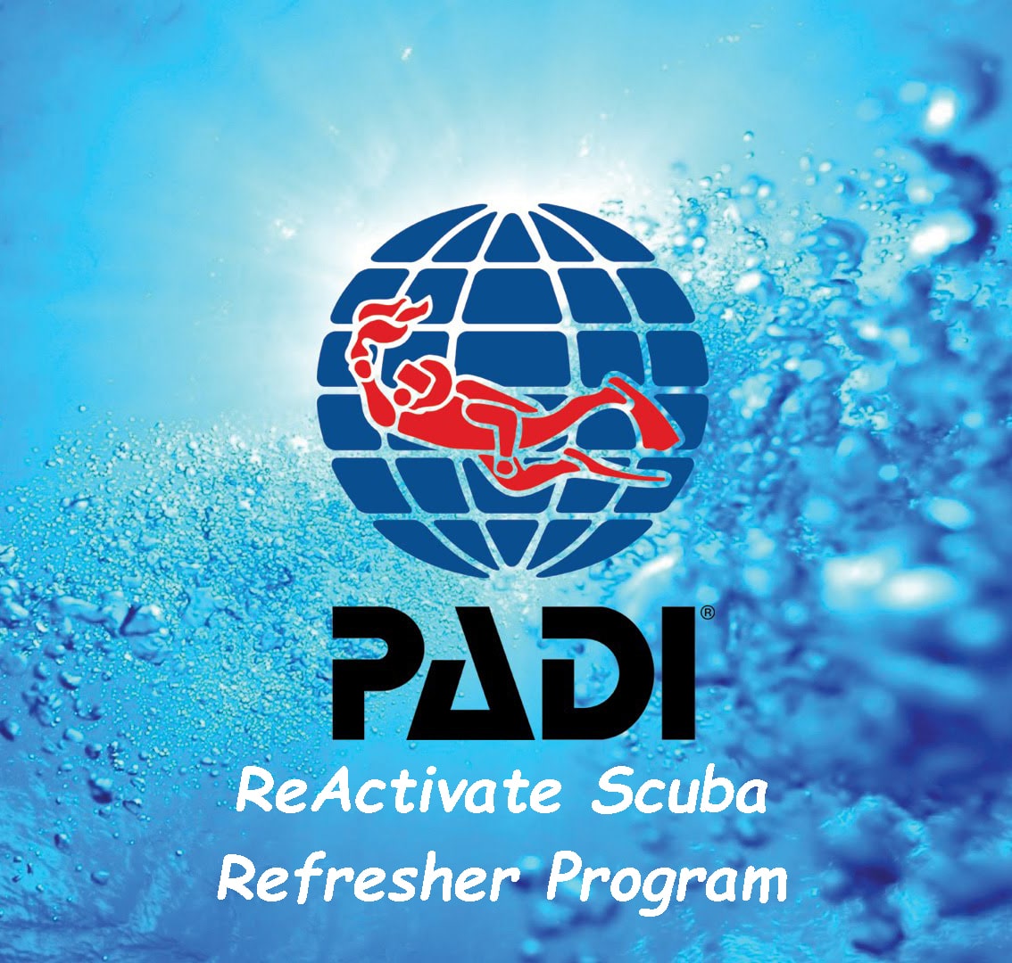 PADI-ReActivate-Scuba-Refresher-Program-comic-sanas-bold-70
